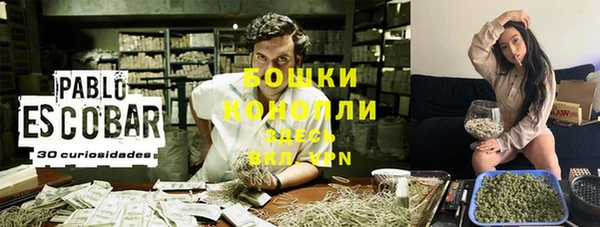 PSILOCYBIN Сосновый Бор