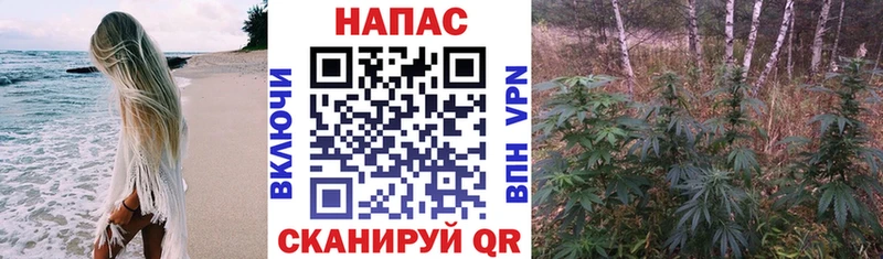 Канабис план Северская