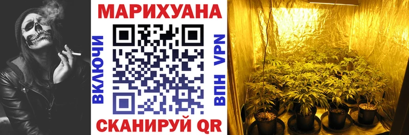 Бошки марихуана семена Купить закладки Северская